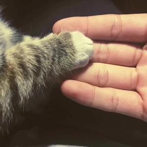 男人和女人狂暴30分钟视频
